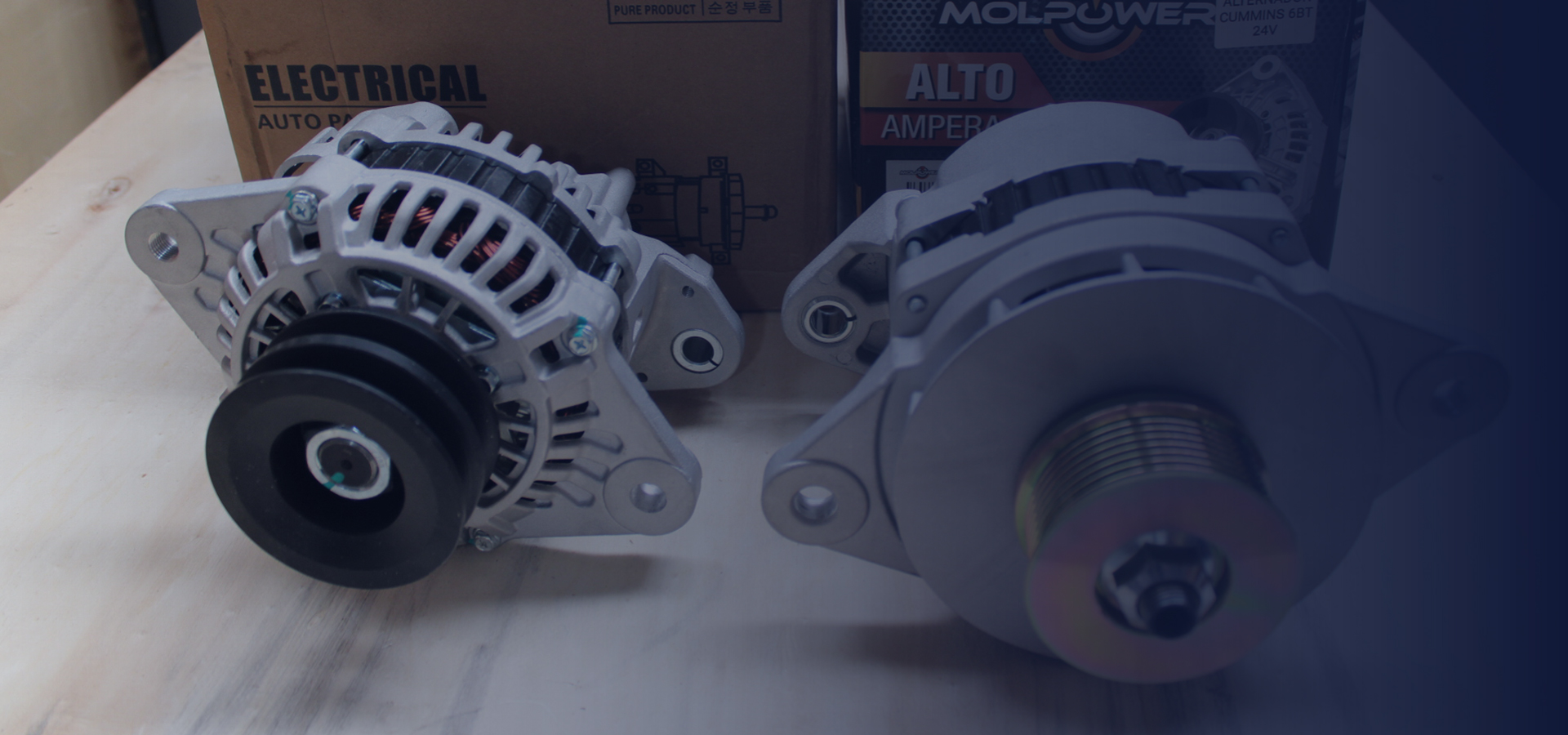 Bodega y estanterías